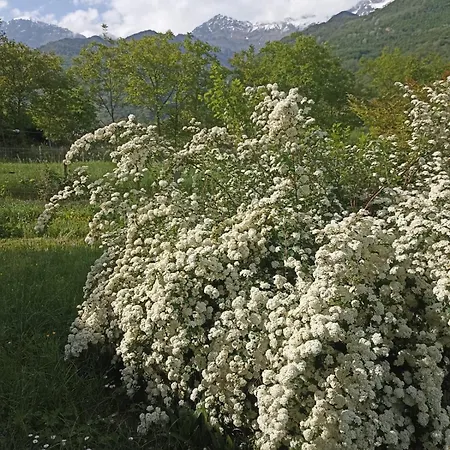 Autin فندق مبيت وإفطار 3*