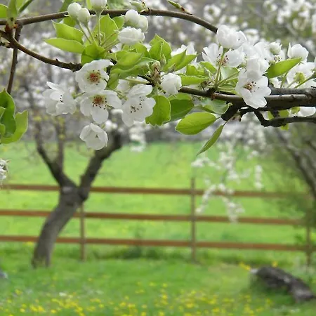 ベッド・アンド・ブレックファスト Autin