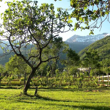 奥丁住宿加早餐旅馆 布鲁佐罗