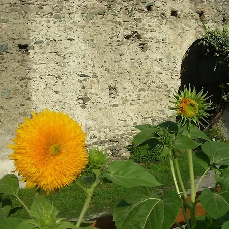 ベッド・アンド・ブレックファスト Autin