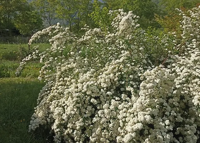 Autin ベッド・アンド・ブレックファスト 3*