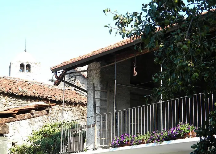 Autin Bruzolo